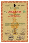 Диплом за успешное управление бизнесом в Сибири